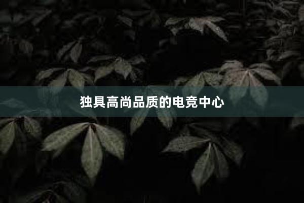 独具高尚品质的电竞中心